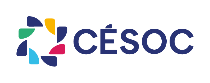  Centre d’établissement, de soutien et d’orientation communautaire (CÉSOC) 